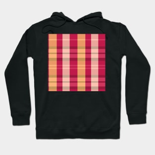 Summer Aesthetic Evander 2 Hand Drawn Textured Plaid Pattern Hoodie